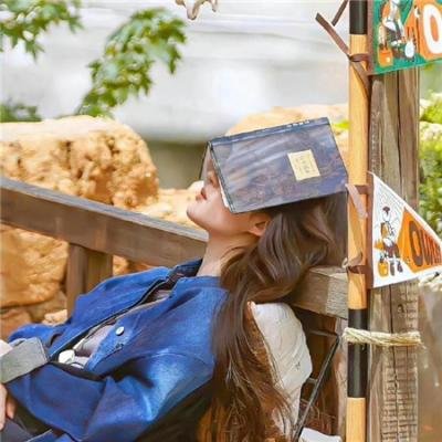 双凤朝凰